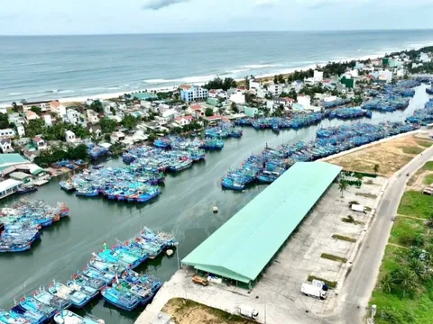 Cửa biển Tam Quan bồi lấp, Gia Lai ra lệnh nạo vét khẩn cấp