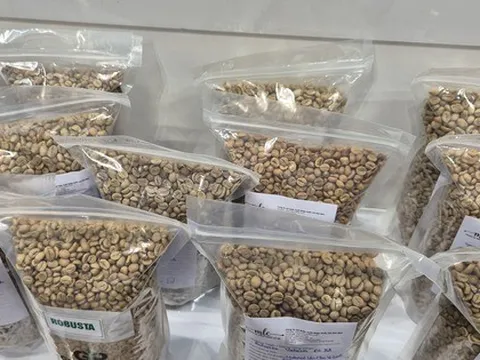 Giá cà phê hôm nay 27-2: Đi lùi, thị trường sắp cân bằng?