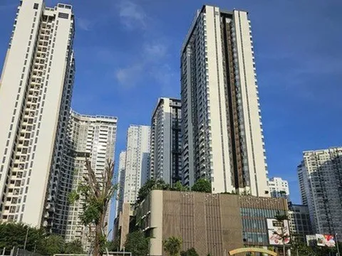 Từ 1-3-2026 chính thức cấp mã định danh điện tử bất động sản và người môi giới bất động sản