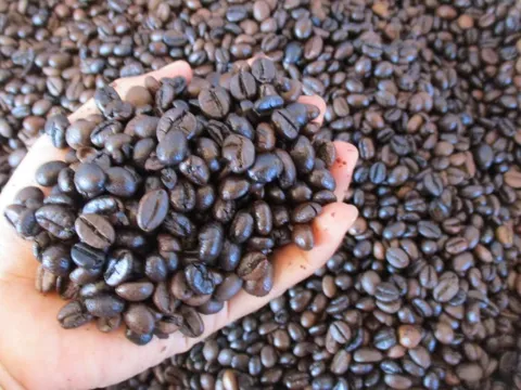 Giá cà phê hôm nay 6-3: Tăng tiếp, giá cà phê xuất khẩu vẫn hơn 4.000 USD/tấn