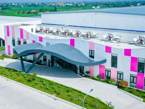 May Sông Hồng đặt mục tiêu lợi nhuận năm 2026 đạt 900 tỷ đồng