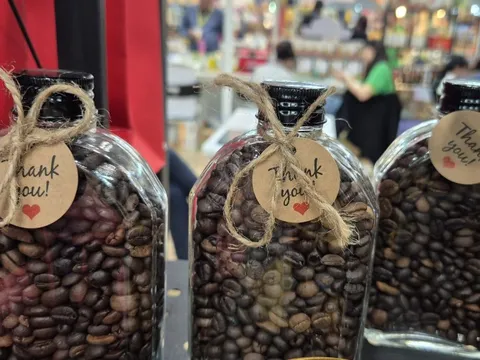 Giá cà phê hôm nay 8-3: Giá trên sàn tăng 3 con số, giá nội địa nhích nhẹ