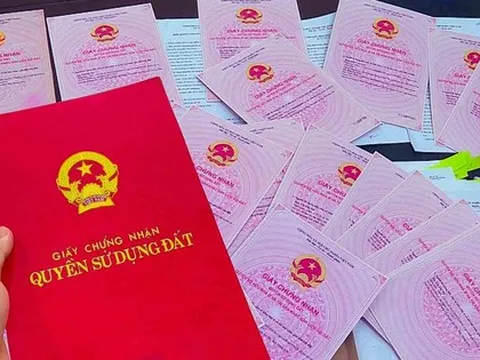 Chuyện lạ: Ngân hàng nhận thế chấp nhầm đất của người khác, buộc phải trả lại sổ đỏ