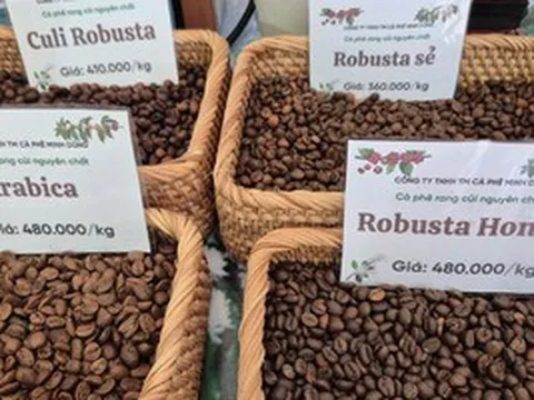 Giá cà phê hôm nay 18-3: Arabica – Robusta đồng loạt tăng, tín hiệu đảo chiều rõ nét
