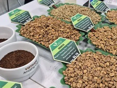 Giá cà phê hôm nay 20-3: Robusta tăng giá 4 ngày liên tiếp