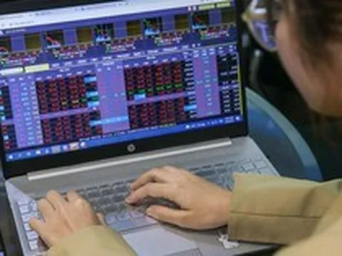 Chuyên gia nêu lý do chứng khoán thủng 1.600 điểm nhưng nhiều cổ phiếu vẫn tăng trần?