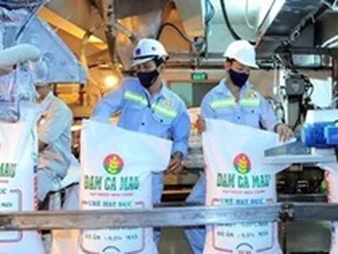 Một doanh nghiệp phân bón lớn lên kế hoạch lãi sụt giảm 40%