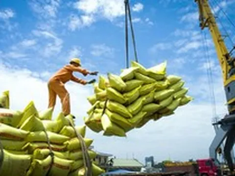 Xuất khẩu gạo của Việt Nam sang Senegal tăng gần 30 lần