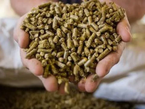 'Mỏ vàng' 250 triệu USD: Loại mặt hàng 'phụ phẩm' của Việt Nam đang được Trung Quốc săn đón ráo riết