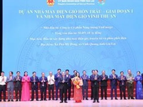 Tỷ phú Phạm Nhật Vượng muốn làm cụm nhà máy 8 tỷ USD tại Gia Lai