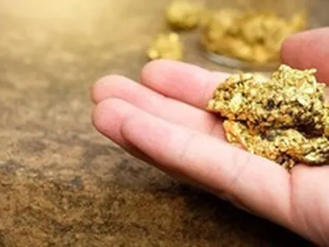 Công ty đào vàng số 1 Việt Nam báo lợi nhuận kỷ lục, kiểm toán nhấn mạnh một rủi ro