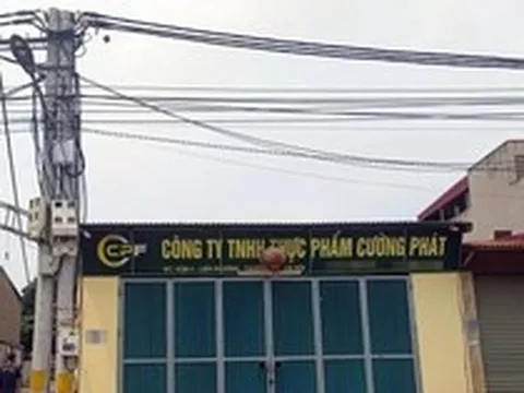 Bên trong công ty cung cấp thịt lợn nhiễm dịch tả lợn Châu Phi vào trường học