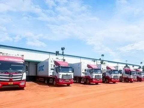 THILOGI tối ưu giải pháp chuỗi lạnh cho trái cây tươi xuất khẩu