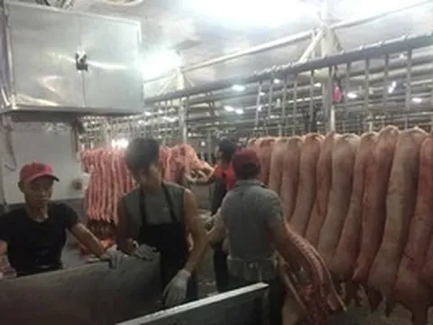 Giá heo hơi hôm nay, 30-3: Chợ đầu mối có giá mới