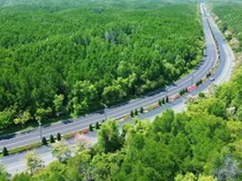 Vingroup đề xuất mở đường Rừng Sác lên 10 làn xe, nối đến khu đô thị Cần Giờ