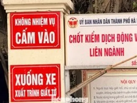 Vụ tiêu thụ gần 300 tấn lợn bệnh ở Hà Nội: Thu giữ cuốn sổ ghi chép việc ăn chia tiền 'làm luật'