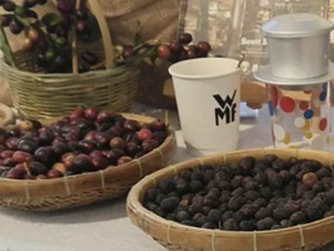 Giá cà phê hôm nay 7-4: Arabica tăng giá, 20% vùng trồng có nguy cơ không phù hợp