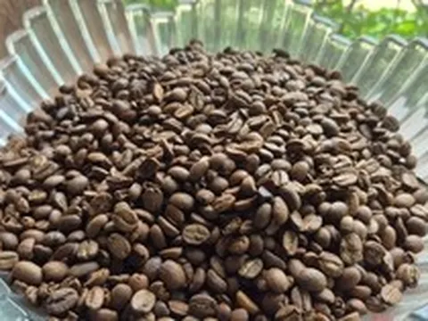 Giá cà phê hôm nay 8-4: Cả hai sàn đỏ lửa, Robusta xuống đáy 8 tháng