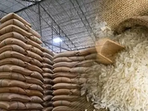 Hoa Kỳ đang bán gạo khắp châu Á: Hàn Quốc chốt đơn 11.000 tấn, Indonesia nhập 1.000 tấn - nguồn gạo từ đâu ra?