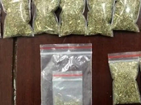 Bắt Nguyễn Minh Thư sinh năm 1977