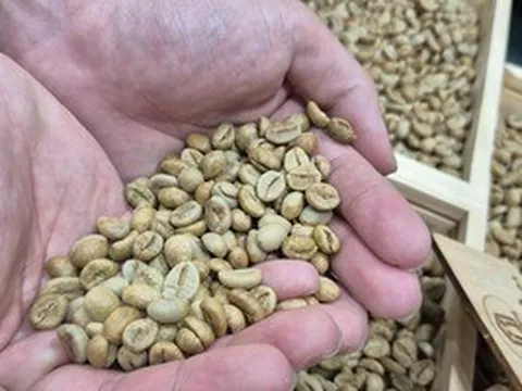 Giá cà phê hôm nay 20-4: Robusta vào vụ tại Indonesia, Brazil nối bước