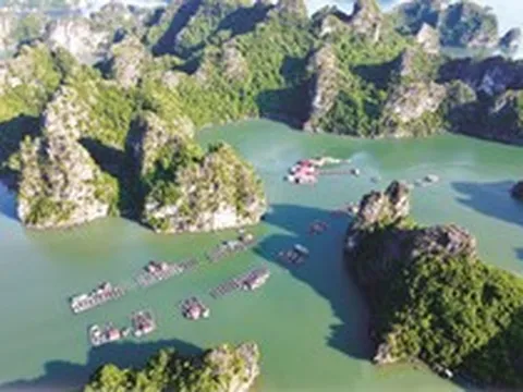 Chính phủ phê duyệt nhiệm vụ lập Quy hoạch bảo tồn, phát huy tiềm năng vịnh Hạ Long
