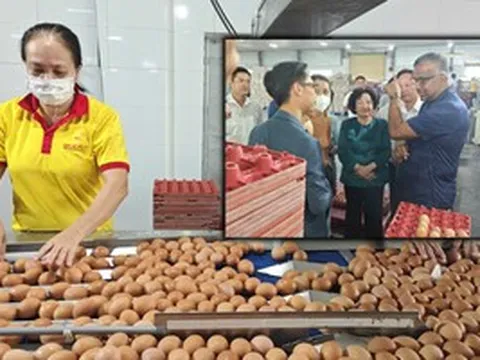 Tiếc cho thương hiệu trứng sạch Ba Huân