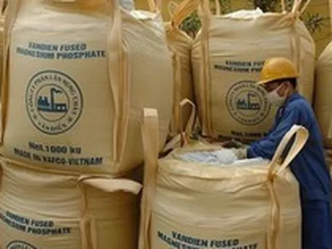 Phân lân Văn Điển bị nhắc nhở vì chậm công bố liên quan BCTC quý I/2026