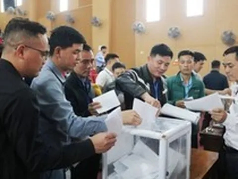 Đấu giá đất tại xã Quốc Oai (Hà Nội) giá trúng cao nhất gấp 9 lần khởi điểm