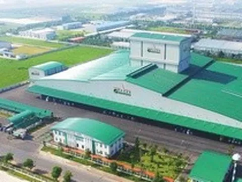 Greenfeed Việt Nam lãi ròng hơn 3.650 tỷ đồng trong năm 2025