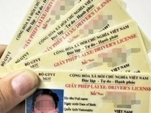 Thông tin quan trọng liên quan đến Giấy phép lái xe