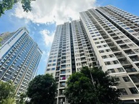 Giao dịch chung cư sụt giảm, chủ nhà “ngậm ngùi” hạ giá để chốt nhanh