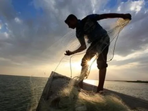 Một quỹ đầu tư bất ngờ "bắt đáy" FPT