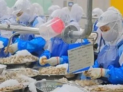 Khuyến cáo với doanh nghiệp xuất khẩu sang Mỹ