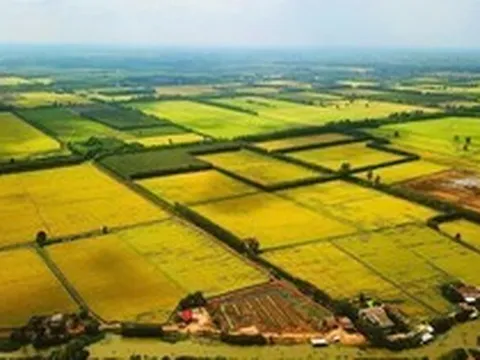 Sửa Luật Đất đai: Hết thời đầu cơ, gom đất để đón đền bù?
