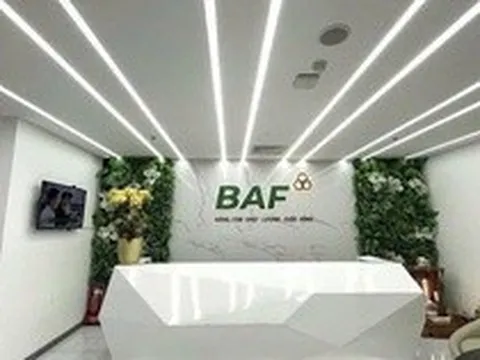 Baf Việt Nam nhận chuyển nhượng 25% vốn góp một doanh nghiệp chăn nuôi tại Gia Lai