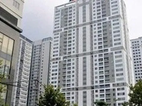 Taseco Land chốt ngày trả cổ tức và phát hành cổ phiếu thưởng