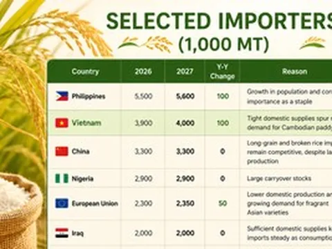 Mỹ dự báo Việt Nam nhập khẩu gạo nhiều hơn cả Trung Quốc, tiếp tục xếp thứ 2 thế giới