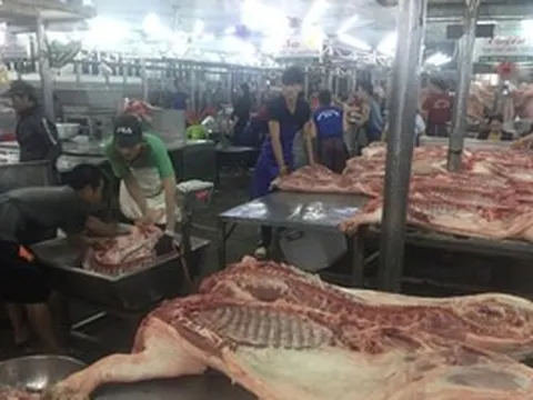 Giá heo hơi hôm nay 23-5: Chợ đầu mối có giá mới