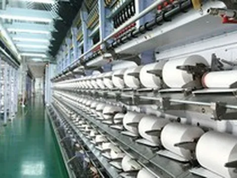 Cổ đông của Sợi Thế Kỷ sắp nhận cổ tức bằng cổ phiếu tỷ lệ 10%