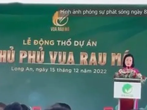 Khởi tố Chủ tịch CCV Group, hàng trăm người bị lừa hơn 1.000 tỷ đồng