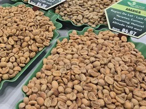 Giá cà phê hôm nay 2-6: Arabica giảm 3 con số