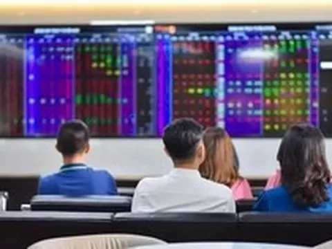 VinaCapital nói về tác động của cổ phiếu Vingroup