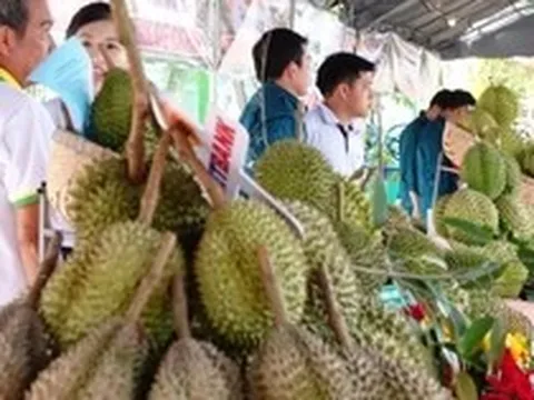 Chất lượng sầu riêng miền Tây không thua kém Thái Lan, vấn đề ở Cadimi