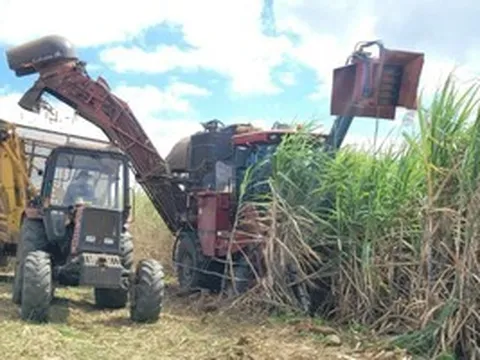 Đường lậu, không rõ nguồn gốc vẫn tràn lan