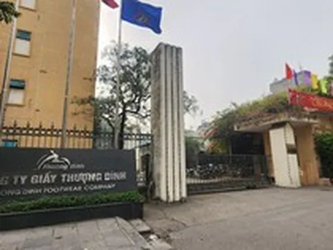 Vinaconex hoàn tất sở hữu hơn 24% vốn tại Giầy Thượng Đình