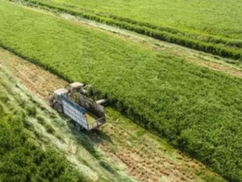 Vinamilk khẳng định vị thế thương hiệu sữa Việt