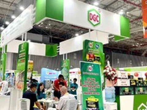 Lý do cổ phiếu DGC tiếp tục bị đưa vào diện cảnh báo