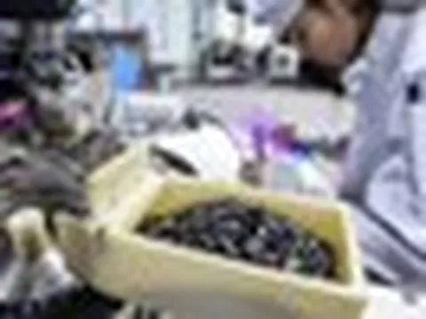 Cùng Nhật Bản, Việt Nam lập nhóm công tác khai thác “mỏ vàng nghìn tỷ USD”, 4 ĐH trọng điểm là thành viên