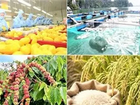 Xuất khẩu nông, lâm, thủy sản 9 tháng tăng 7,8%